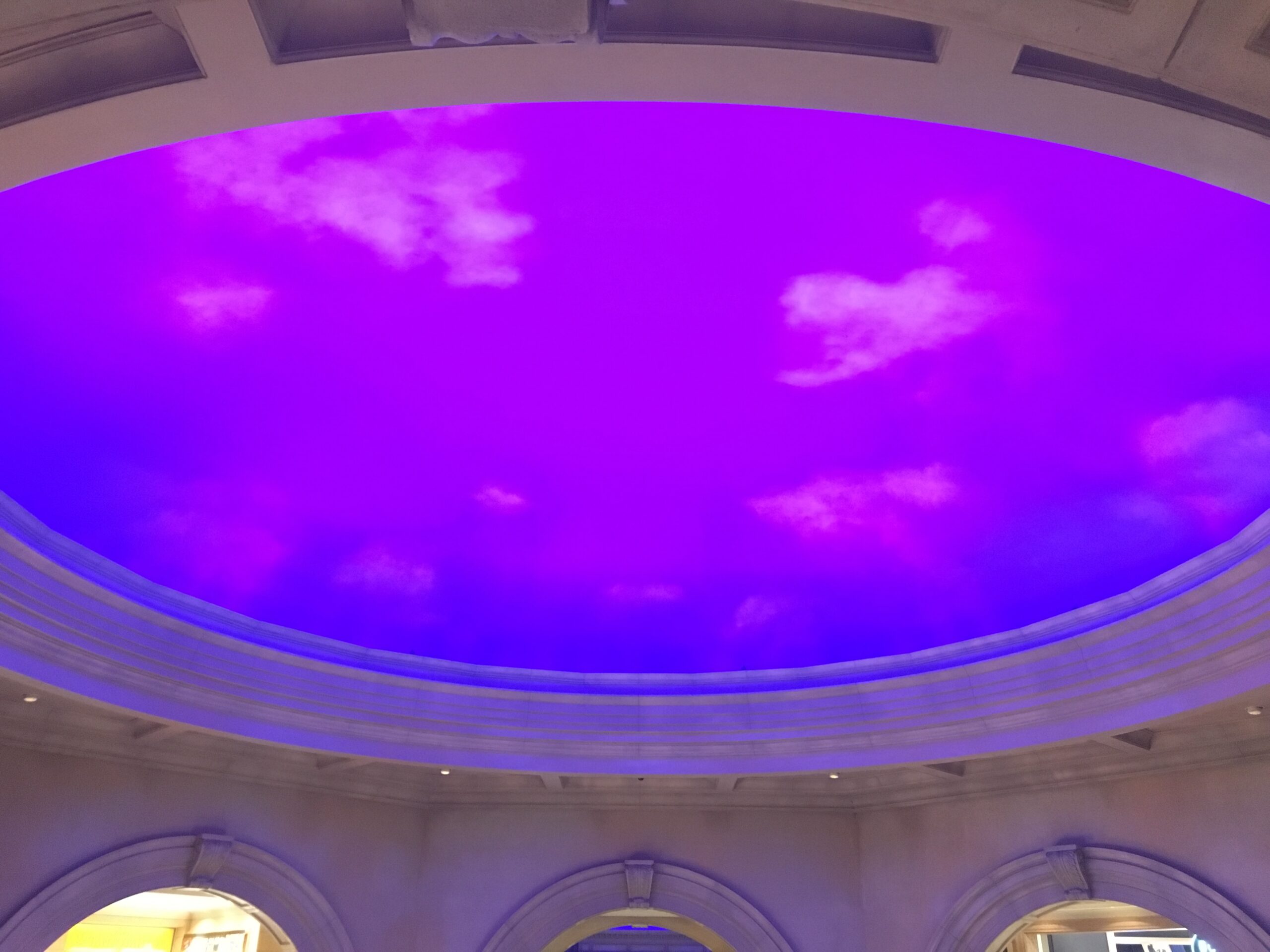 自己紹介（プロフィール）